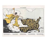 Mayer Awakening Votes Women Liberty Map Art Print Canvas Premium Wall Decor Poster Mural