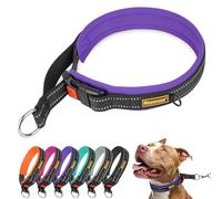 Mayerzon 3.8CM Wide Martingale Collar for Large Medium Small Dogs Pitbull German Shepherd, No Pull Reflective Slip Martingale Dog Collar with Buckle Soft Padded for Walking Training(Purple, M)