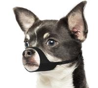 Mayerzon Short Snout Dog Muzzle for Small Medium Dogs, Soft & Sturdy Fabric, Anti Excessive Biting Chewing, Suits Chihuahua Shih Tzu Maltese for Grooming Vet Visits Walk, Allows Drinking(Black, S)