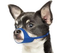 Mayerzon Short Snout Dog Muzzle for Small Medium Dogs, Soft & Sturdy Fabric, Anti Excessive Biting Chewing, Suits Chihuahua Shih Tzu Maltese for Grooming Vet Visits Walk, Allows Drinking(Blue, S+)