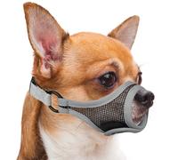 Mayerzon Short Snout Dog Muzzle, Mesh Muzzle for Small Dogs Chihuahua Yorkshire Shih Tzu, Adjustable Fit, Prevent Fierce Barking Biting Eating, Ideal for Grooming Vet Visits, Pant Drink Freely (XS)