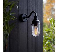 mayetta clear glass shade outdoor wall light in matt black