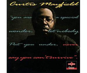 Mayfield Curtis - Never Say You Cant Sur
