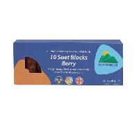 Mayfield Suet Blocks Berry Wild Bird Food - Pack of 10
