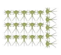 Mayflyy Bait Hand Tied Fly Assortment | Bass Fly Baits | Aviator Kit | Salmon Assortments | Nymph Body Components