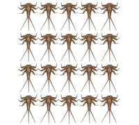 Mayflyy Bait Hand Tied Fly Assortment | Bass Fly Baits | Aviator Kit | Salmon Assortments | Nymph Body Components