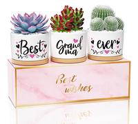 MAYICIVO Best Grandma Gifts for Grandma from Grandchildren Granddaughter, Gift Boxed Grandma Birthday Gifts, Best Grandma Ever Succulent Pots for Plants Indoor Ceramic Planter