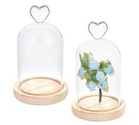 MAYJOYDIY 2 Pack Cloche Glass Dome with Rustic Wooden Base Glass Cloche Bell Jar Display for Plants, Plants, Medals, Photos, Antique Collectibles, 9.8x15.5cm