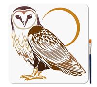 MAYJOYDIY Barn Owl Stencil Moon Night Birds Painting Stencils 30×30cm Reusable Magical Animal Drawing Template with Paint Brush for Craft on Window Wood Wall Home Decor