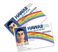 Mayoii 2Pack McLovin Fake ID Cards, Funny McLovin Fake Driver's License, Superbad Fake Joke, Gag Gift, Prank, Costume Props(3.34×2.12×0.03in)