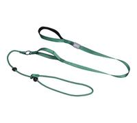 Mayoii Slip Lead for Dogs Correct Reckless Behavior P Rope Walking and Training Dogs Nylon Secure 170cm (Green)