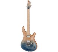 Mayones Guitars Regius Core 6 AMH