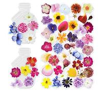 Mayplous Botanical Sticker Collection - 6 Pack Assorted Floral & Plant Decals for Scrapbooking, Journals, Card Making | Decorative Planner Embellishments for Adult Crafting & Memory Keeping (Anson)