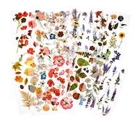 Mayplous Rub-On Transfer Stickers - 10 Sheets Flower & Plant Design Decals for Scrapbooking, Planners, Card Making | Easy-Apply Crafts Embellishments (Garden)
