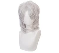 maysuwell Anime wig Cosplay Wigs Silver short hair for Men Women for Halloween,carnival,Costume Party with Wig Cap