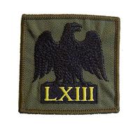 Maze 63 (queens colour sqn) RAF Regt cloth badge - Green