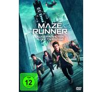 Maze Runner: Die Auserwählten in der Todeszone (DVD) Dylan O'Brien Wes Ball