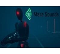 Maze Sounds Steam CD Key