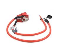 Mazonda Battery Blow off Positivie Pole Cable Compatible with BMW 1 Series F20 F21 2010-2019 2 Series F23 F22 F87 2012-2019#61129253111