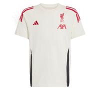 (MB) 2025-2026 Liverpool Training Tee (White) - Kids