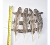 MBHHU New Various Real Natural Eagle Feathers 10pcs 15-40CM Bird for Crafts DIY Wedding Decoration plumes-15-20cm-6-8inch_a