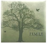 MCS Family Tree Post Bound Scrapbook 12 x 12, vinyl, Green, 12 by 12-Inch