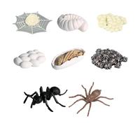 Mbiyhgta Ant Life Cycle Kit - 2 to 9 cm Educational Figurines Set, Animal Growth Model Toys, Learning Cycle Collection With Safe Material | Kids Science Toy for Home School Classroom