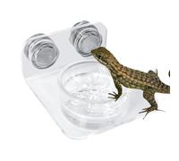Mbiyhgta Bol d'eau reptile, rebord de mangeoire en gecko | Bac de nourriture en ventouse Gecko | Repoule d'alimentation des reptiles pour les lézards, les caméléons, les grenouilles d'arbres