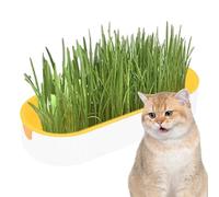 Mbiyhgta Cat Grass Growing Kit - Grass Planting Box Set, Diiy Pet Grass Growing Kit | Soil-Frree Cat Snacks Hairball Removal, Portable Chewing Plant Growing Set for Nursery Garden Indoor Balcony