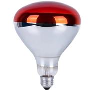 MBMYUCKY Infrared Heat Lamp Chick - Chickens Heat Lamp Tortoise Red Light for Brooder Poultry Bathroom Infrared Incandescent Light Bulb R125 250W