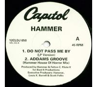 MC Hammer: Do Not Pass Me By 12"