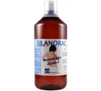 MCA Productos Naturales Silanoral Basic 1 Liter
