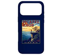 McAfee Knob Roanoke Virginia Appalachian Trail Case for iPhone 17 Pro Max
