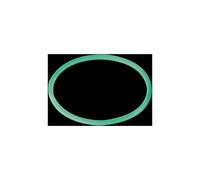 McAlpine Plastic GREEN Friction Washer Green 2'' PWM3