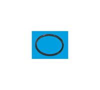 McAlpine RW1 1¼" Trap Inlet Washer