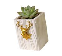 MCAOAL Cartoon Lovely Fleshy Flowerpots Desktop Display Potted Container Decoration Gift Balcony Plant Creativity Modern Nordics Planter