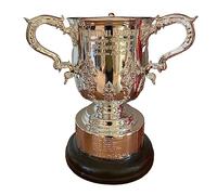 MCBEAN English Football League Trophy EFL Cups Trophies Fans Souvenir Collections Office Clubhouse Theme Display Ornament Soccer Gifts for Mens,44cm