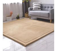 MCBHSH Coral Velvet Area Rugs,Bedroom Bed Floor Sofa Living Room Carpet,Modern Soft and Comfortable Foam Carpet-A-60 * 110cm