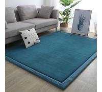 MCBHSH Coral Velvet Area Rugs，Bedroom Bed Floor Sofa Living Room Carpet，Modern Soft and Comfortable Foam Carpet-J-200 * 220cm