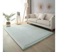 MCBHSH Coral Velvet Area Rugs,Bedroom Bed Floor Sofa Living Room Carpet,Modern Soft and Comfortable Foam Carpet-C-150 * 150cm