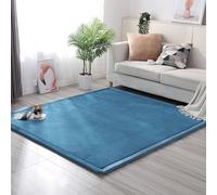 MCBHSH Coral Velvet Rug ，Nonslip Floor Carpet， Sofa Living Room Carpet The perfect rug for sports and crawling