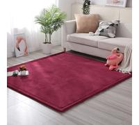 MCBHSH Coral Velvet Rug ，Nonslip Floor Carpet， Sofa Living Room Carpet The perfect rug for sports and crawling