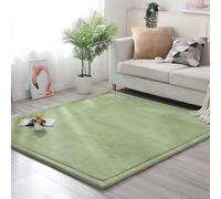 MCBHSH Coral Velvet Rug ，Nursery Bedroom PlayMat ，Nonslip Floor Carpet， Sofa Living Room Carpet The perfect rug for sports and crawling