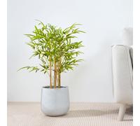 MCC Direct Artificial Plant Bamboo Tree Indoor House Plant 80 Cm