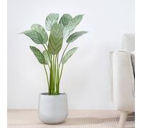 MCC Direct Artificial Plant Bird Of Paradise Tree Indoor House Plant 110Cm
