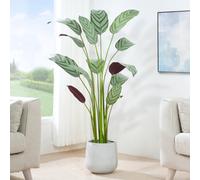 Artificial Bird of Paradise Tree Plant with Plastic Planter Pot 160cm MCC Direct Multi One Size