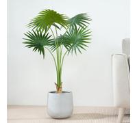 MCC Direct Artificial Plant Fan Palm Tree Indoor House Plant 100 Cm