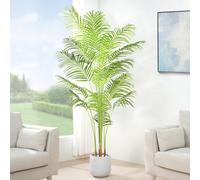 mcc direct Artificial Palm Tree, 180cm Tall Large Decorative Artificial Plant with Plastic Planter and Artificial Moss for House Bedroom Office Garden Store Decoration