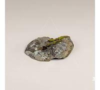 Fergus McCreadie - Cairn