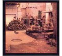 Mcdonald, Country Joe - Into the Fray